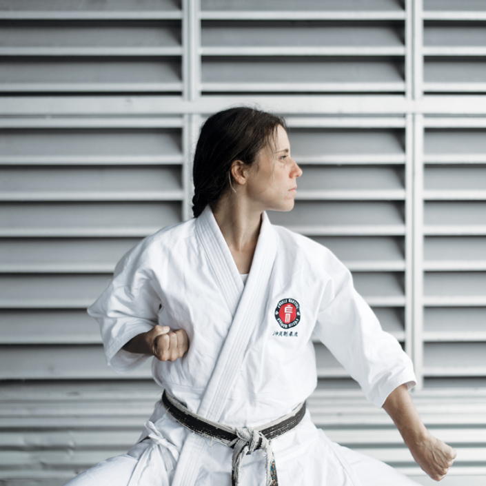 Stage : Seyunchin rensoku kumite Stage : Seyunchin rensoku kumite